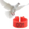 100 Pcs 8MM 001-100 Numbered Pigeon Leg Rings,Plastic Pigeon Legs