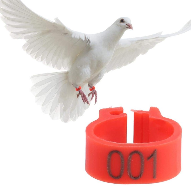 100 Pcs 8MM 001-100 Numbered Pigeon Leg Rings,Plastic Pigeon Legs