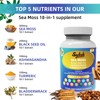 Sykik Sea Moss Black Seed Oil with Ashwagandha, Turmeric, Bladderwrack,