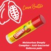 CARMEX Cherry Moisturising Lip Balm Click Stick for Soft, Protected