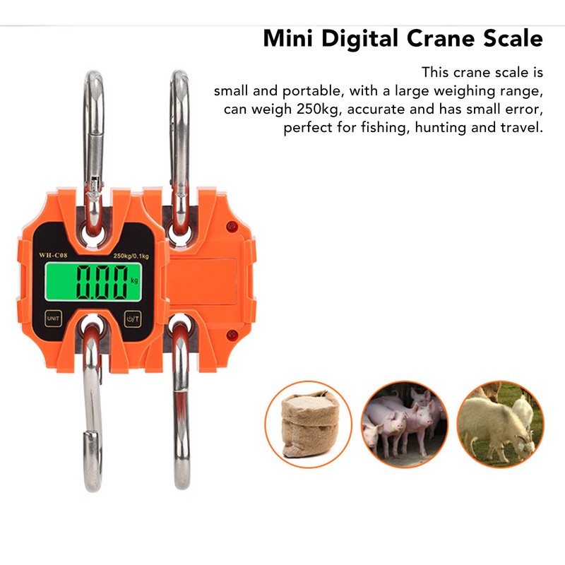 Mini Digital Crane Scale 250kg Range Portable Detachable LCD Display