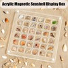 TKODNYD Acrylic Magnetic Seashell Display Box, 36 Grids Shell Storage