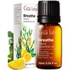 Gya Labs Breathe Essential Oil for Humidifier Cleaner & Stress