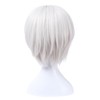 NSPSTT Short Hair Bob White Silver Heat Resistant Wig Cosplay