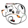 PRO BAT ATV Arnés de cableado eléctrico Go Kart 150