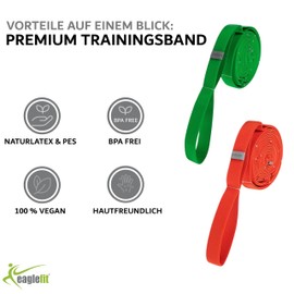 eaglefit - Set of 2 Multi Training Bands by Flexvit Green and Orange for Professionals and Beginners - Resistance Bands for a Full Body Workout with Loops for Quick Intensity Change