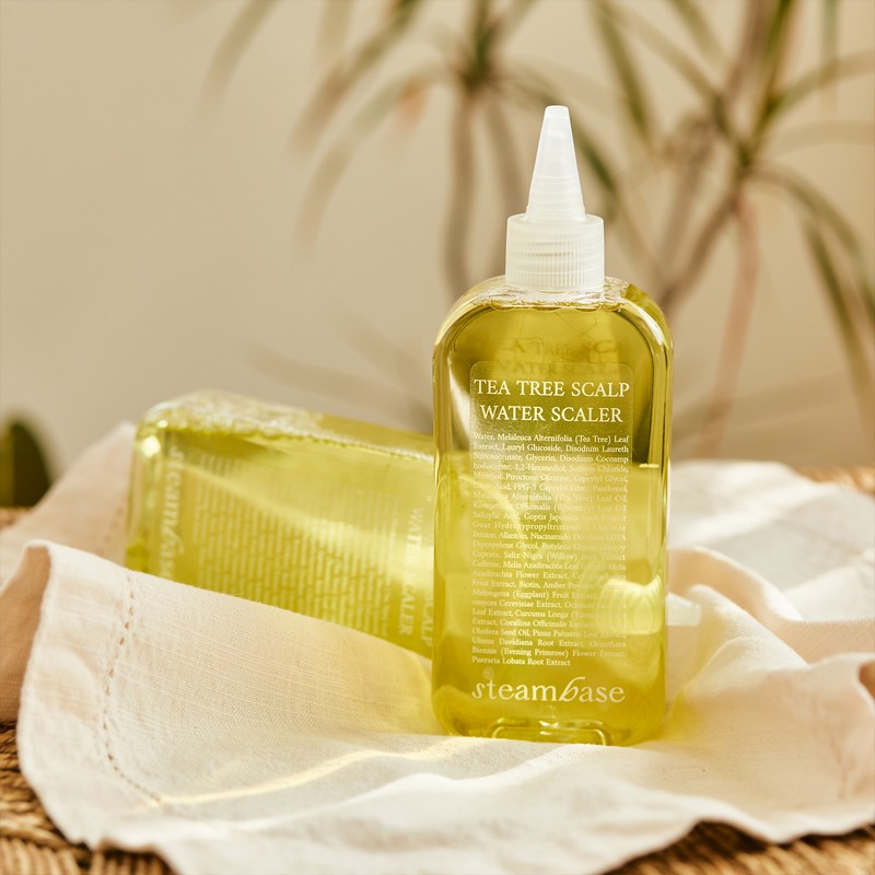 steam base Tea Tree Scalp Water Scaler Cooling, 250ml, 2