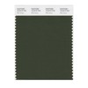 PANTONE Smart 19-0419X Color Swatch Card, Rifle Green