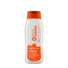 Salome Shampo Proteccion Color (Color Protection) 400ml