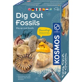 KOSMOS 617226 Fossils Excavation Kit, Digging Real Petrifications and Amber Yourself, with Hammer and Chisel, Experiment Set for Children from 7 Years, Multilingual Instructions