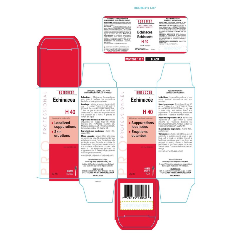 H40 Echinacea
