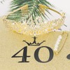 CIEHER 40th Birthday Crown + 40 & Fabulous Birthday Sash