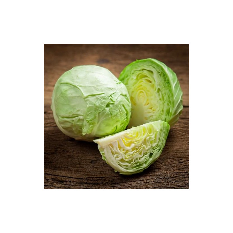 Eden Brothers Cabbage Seeds - All Seasons