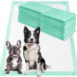 FXW Dog Pee Pads Extra Large Disposable Puppy Pads for Potty Training and Whelping, 5 Layers Quick Absorbent and Leakproof Mats with Adhesive Tape, 20 Pack, 51x29 Inches, Green