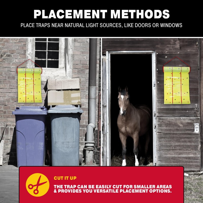 Catchmaster Giant Fly Glue Trap 3-Pack 30 Feet Each, Adhesive