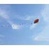 Besra Colorful Parafoil Kite with Long Tail Easy to Fly