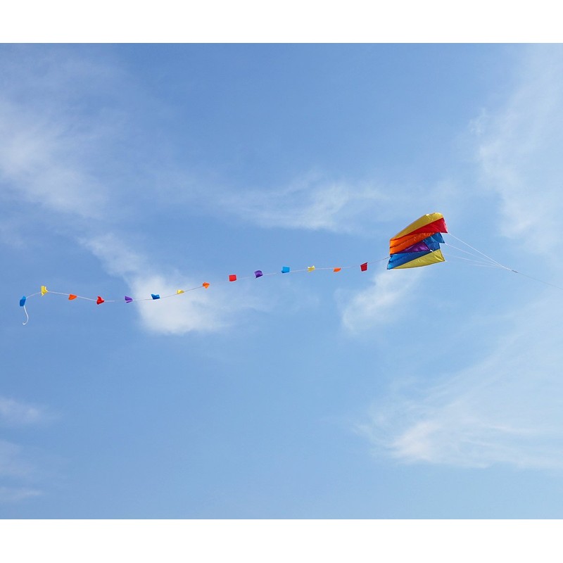 Besra Colorful Parafoil Kite with Long Tail Easy to Fly