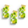 Pack 3 de Jabones Artesanales de Moringa de Extraherbos, Antiedad,