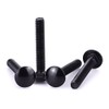 5/16-18 x 1-1/2" Black Steel Carriage Bolts, 304 Stainless Steel