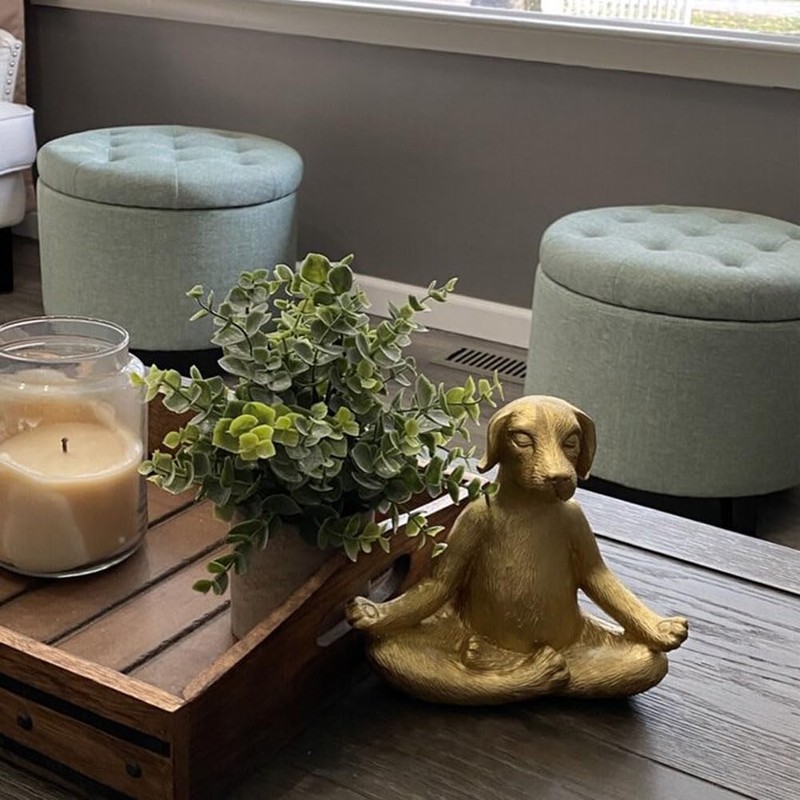 Leheybia Meditation Statue - Dog Yoga Pose Statue, Garden Decor,