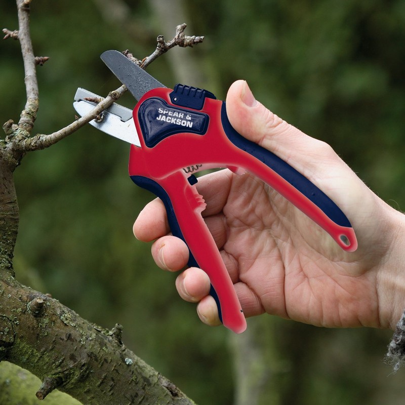 Spear & Jackson 6058AS/09 Razorsharp Advantage Anvil Pruning Shears, Medium,