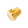 SK11 AT-112 Hex Plug, Male Thread R1/8, 3.3 ft (1