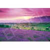 Epoch Company 1000 Piece Jigsaw Puzzle Lavender Color Furano -
