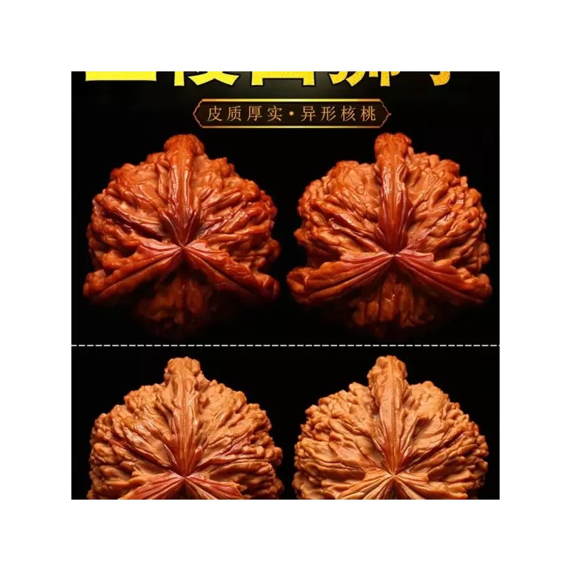 Hodu 호두마사지기 호도 마사지기 핸드 귀족 지압 손목 손마디 [K.