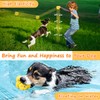 xinrongda Cat Fishing Rod Long (B)