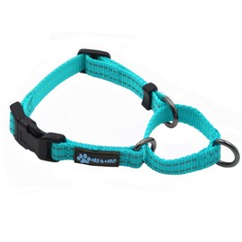 Max and Neo Nylon Martingale Collar - We Donate a Collar to a Dog Rescue for Every Collar Sold (X-Small, Teal)