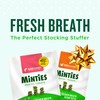 Minties Dental Treats for Cats, Salmon Flavored Treats for Cats,