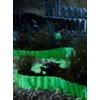 Royal Gardineer Beetumrandung: Beet-Umrandung & Rasenkante Glow-in-The-Dark, 6 Meter (Blumenbeet
