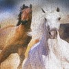 BEDUKE Jigsaw Puzzles for Adults 1000 Pieces Family Game Horse