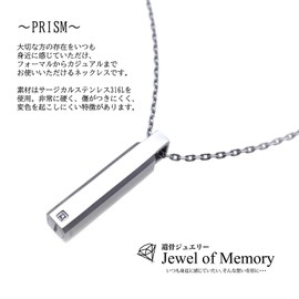Jewel of Memory Cremation Pendant, Memorial Urn Necklace, Memorial Cremation Box, Stainless Steel, 11.6 gal (316 L), Includes 2 Chains, Stick