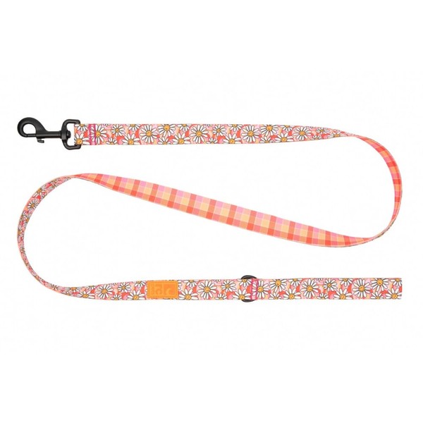 RC Pets Eco Leash | 5ft Dog Leash with Durable