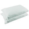 COMFORTNIGHTS, Light Green tint Waterproof and Wipe clean Pillow Protector,