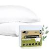 Tencel™ Waterproof Cushion Cover 30 x 50 cm (Pack of