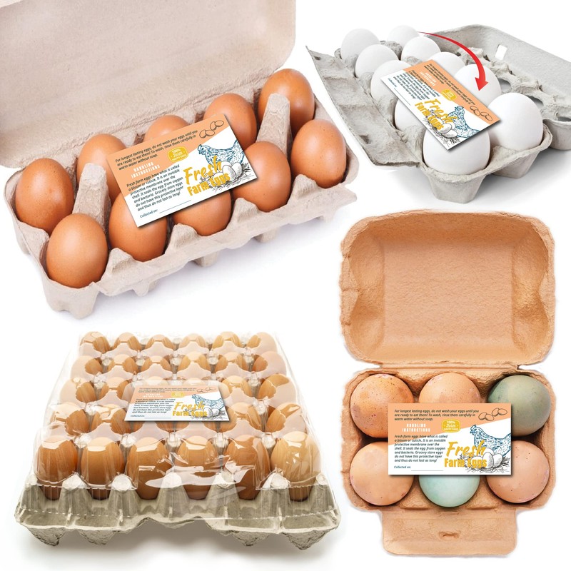 Havongki 100pcs Premium Fresh Farm Eggs Handling Care Instructions Cards
