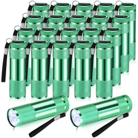 VIHOSE 20 Pcs Mini Flashlights Bulk, Bright Aluminum Handheld Flash Light with Lanyard Small LED Flashlights for Night Reading Emergency Hurricane Camping Hiking, Batteries Not Included(Green)