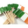 QQSD Ireland Toothpick Flag Irish Small Mini Cupcake Topper Flags,100