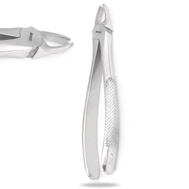 Precise Canada: Dental Extracting Forceps #F3P Extraction Forceps Stainless Steel