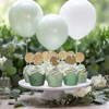 Whaline 180Pcs Gradient Green Tulip Cupcake Liners Sage Green Tulip