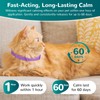 Trail Tail Calming Collar for Cats, Cat Calming Collars for