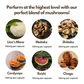 Multi Mushroom Complex by Nutripact - Contains Lions Mane, Reishi, Chaga Mushroom Powder, Shitake, Cordyceps & Maitake - High Strength Vegan Supplement - 60 Capsules - Shroompact