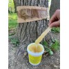 TREEKOTE Tree Banding Gum Sticky Crawling Barrier - 16oz All