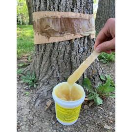 TREEKOTE Tree Banding Gum Sticky Crawling Barrier - 16oz All Natural - USA MADE!