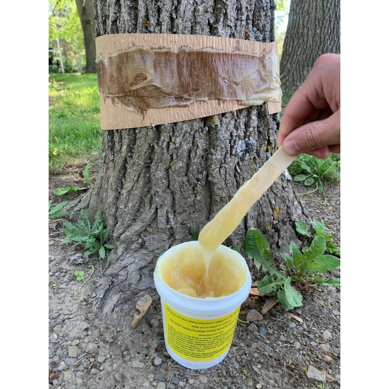 TREEKOTE Tree Banding Gum Sticky Crawling Barrier - 16oz All