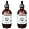 Bromelain Alcohol-Free Liquid Extract, Bromelain (Ananas Comosus) Dried Powder Glycerite