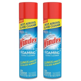 Windex Foam Clnr 19.7oz