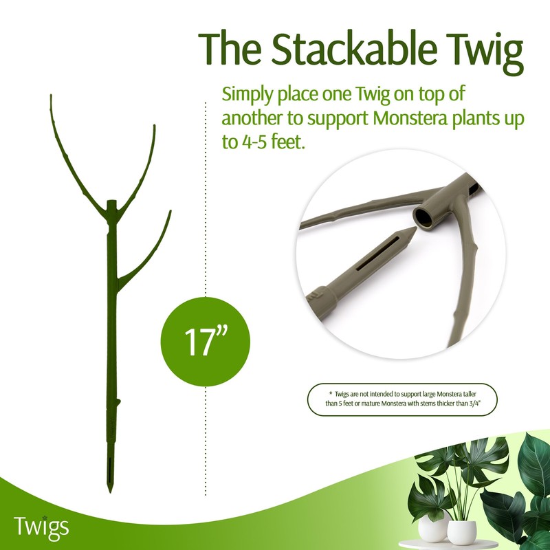 Twigs GA - Stackable Monstera Plant Support Stakes, Climbing Support